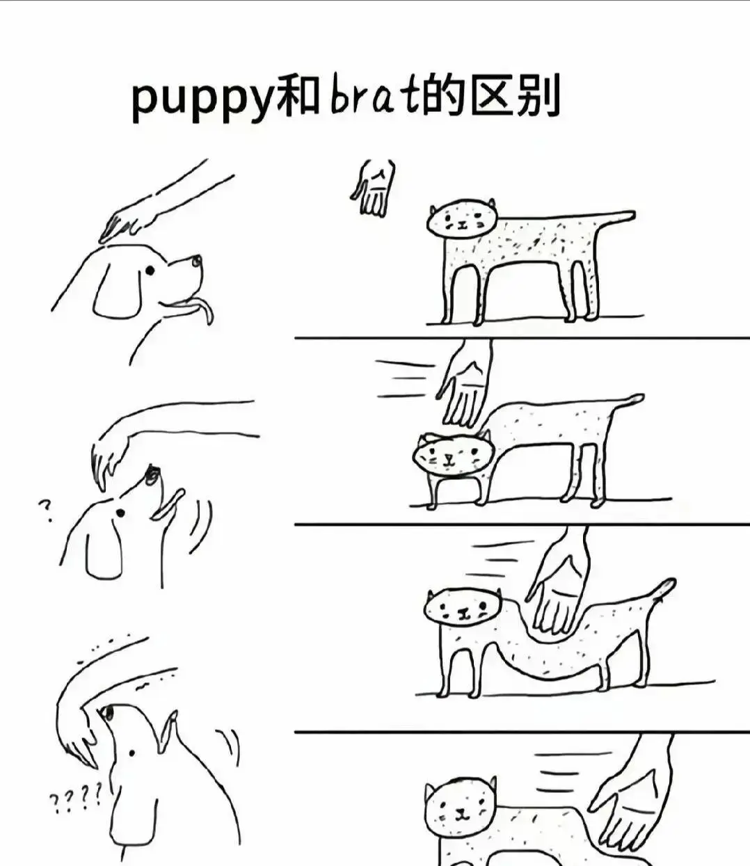 SM亚文化 - 微信图片_2025-11-13_180940_765