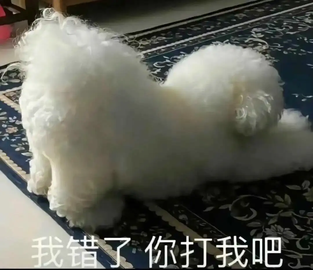 西檬之路-字母圈新人必读：BDSM术语与理念全解析