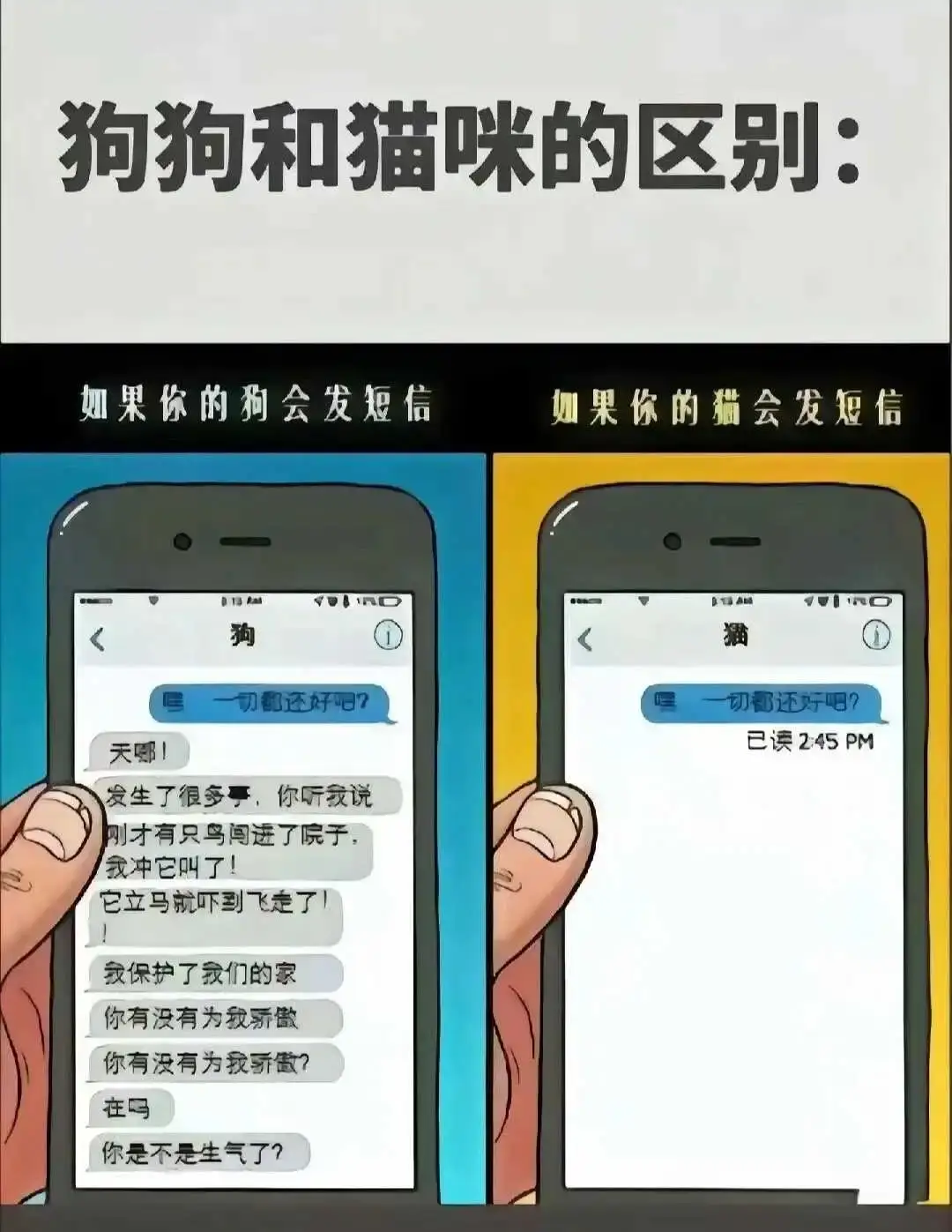 女王 - 微信图片_20250713011414