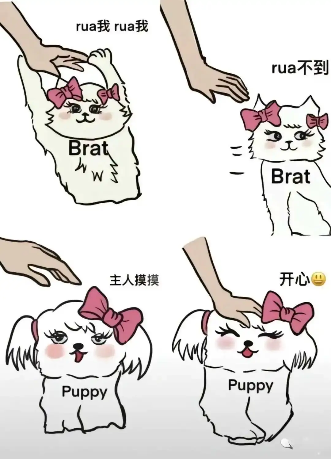 S倾向 - 2023_12_05_21_27_IMG_9363