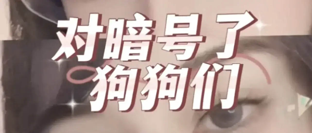 西檬之家-字母圈的恋足癖解析：新人入门指南
