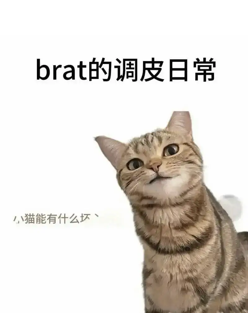 西檬之家-字母圈的DT是什么意思？