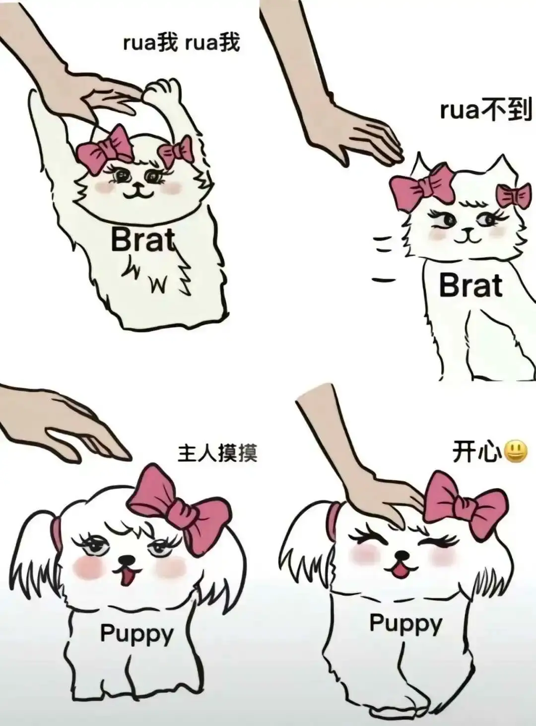 S倾向 - 2023_12_05_21_27_IMG_9364
